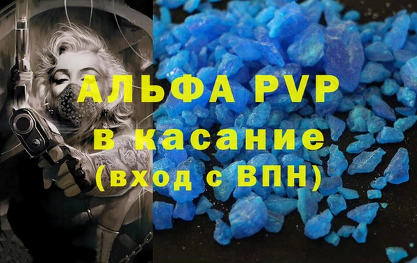 стафф Богданович