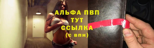 стафф Богданович