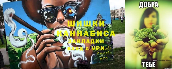 стафф Богданович