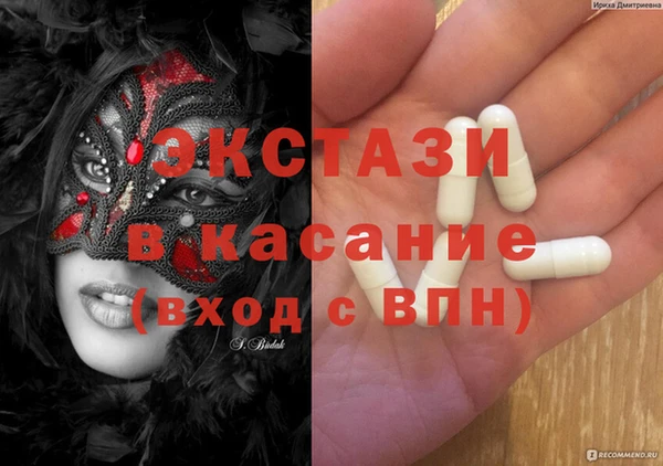 стафф Богданович