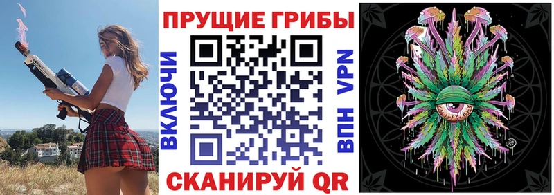 Галлюциногенные грибы Psilocybine cubensis Кондрово