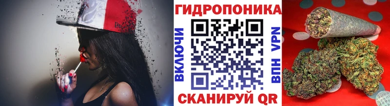 где можно купить наркотик  Кондрово  блэк спрут зеркало  Конопля Ganja 